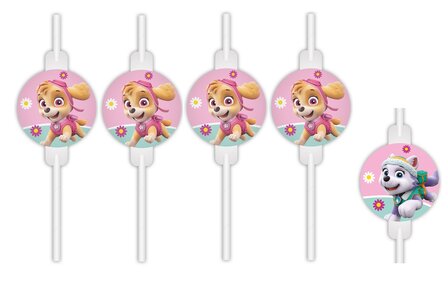 Paw Patrol party rietjes Skye en Everest
