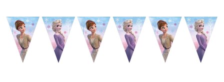 Disney Frozen vlaggenlijn Magical