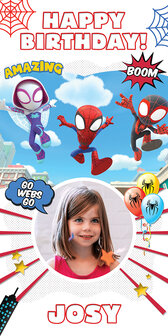 banner Spidey &amp; Friends