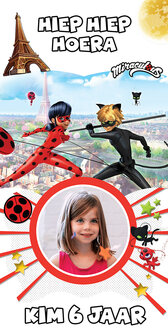 deurbanner Lady Bug thema