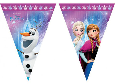Disney Frozen feestslinger vlaggenlijn Noorderlicht