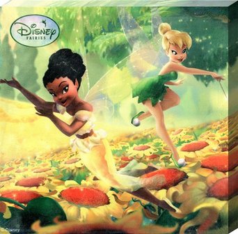 Disney Tinkerbell canvas schilderij