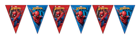 Spiderman vlaggenlijn