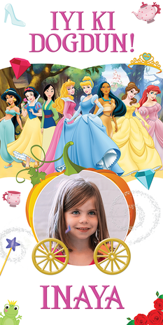 Gepersonaliseerde deurbanner Disney Princess thema turks voorbeeld