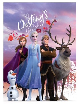 Disney Frozen 2 fleece deken Destiny's calling