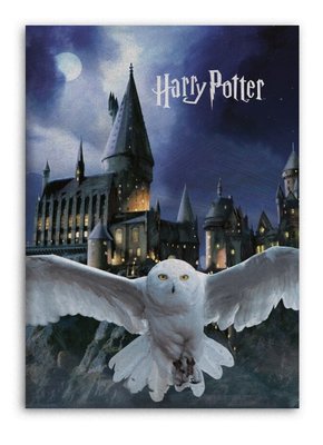 Harry Potter fleece deken - plaid Hedwig