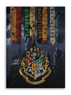 Harry Potter fleece deken - plaid