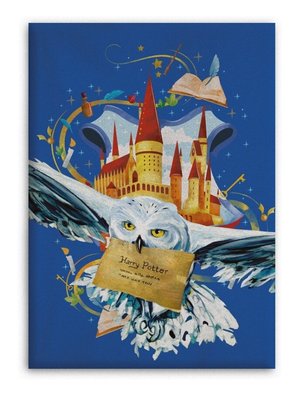 Harry Potter fleece deken - plaid Hedwig 2