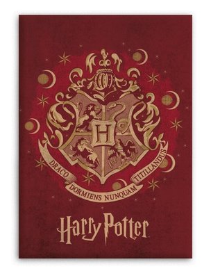 Harry Potter fleece deken - plaid rood