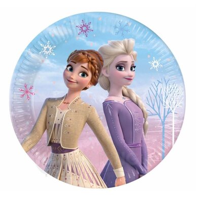 Disney Frozen party bordjes Magical