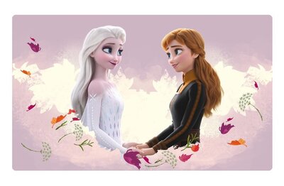 Disney Frozen vloerkleed Friends