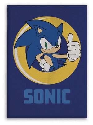 Sonic the Hedgehog fleece deken
