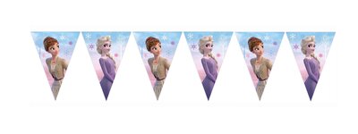 Disney Frozen vlaggenlijn Magical