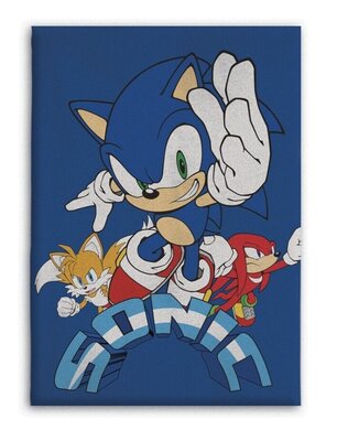Sonic the Hedgehog fleece deken Speed