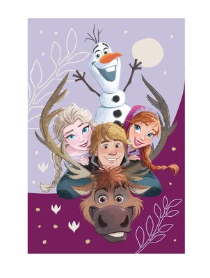 Disney Frozen fleece deken - Group