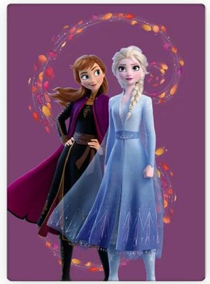 Disney Frozen fleece deken - Purple