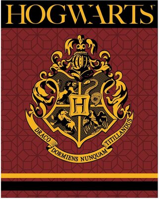Harry Potter fleece deken - Hogwarts 120x150cm