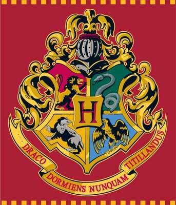 Harry Potter fleece deken - Red 120x150cm