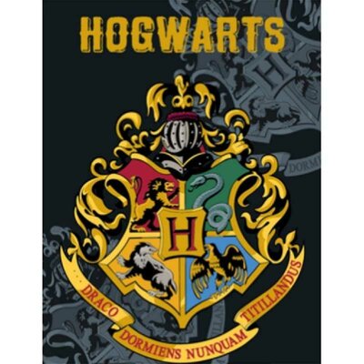 Harry Potter fleece deken - plaid zwart