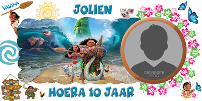 Gepersonaliseerde muurbanner Vaiana thema