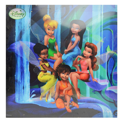 Disney Tinkerbell canvas schilderij 35x35cm D