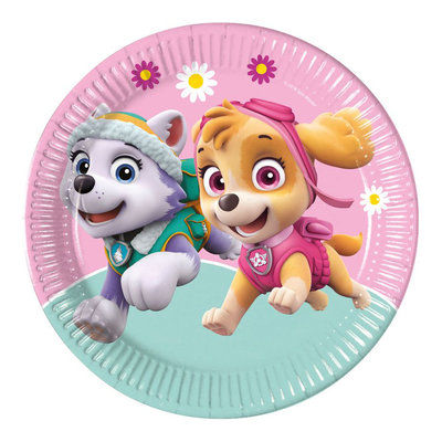 Paw Patrol party bordjes Skye en Everest II